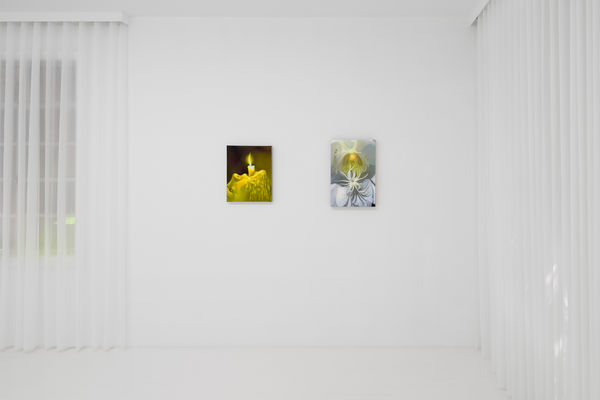 Capsule Taosiqi Thenakedeye Installationview 37