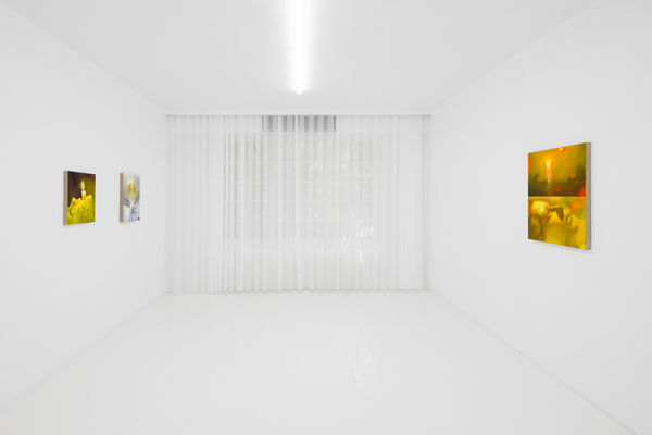 Capsule Taosiqi Thenakedeye Installationview 38