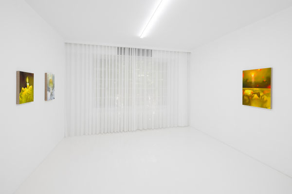 Capsule Taosiqi Thenakedeye Installationview 40