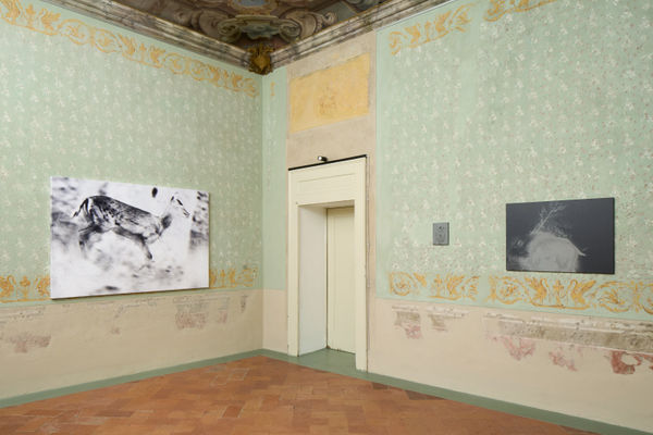 Luca Campestri | Day and Night @ Palazzo Monti