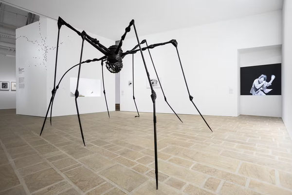 Elizabeth Jaeger | Animal!? @ Fonds Hélène & Édouard Leclerc Landerneau