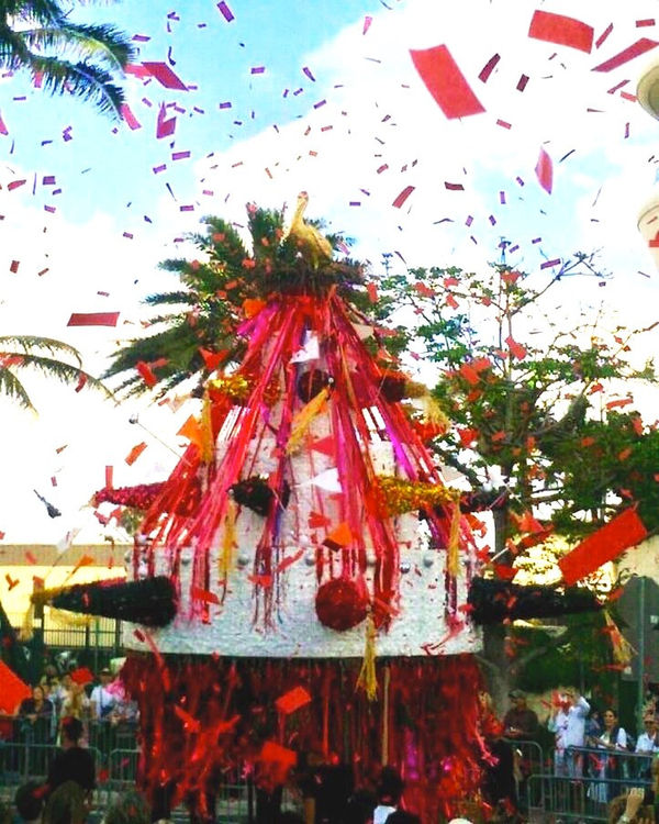 A Cbetancourt 291 A The Pelican Passage 00055