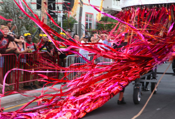 Cbetancourt 291 The Pelican Passage Comparsa00016