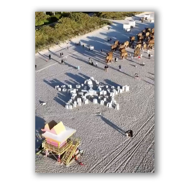 Carlos Betancourt and Alberto Latorre, Star Compass: The Miami Reef Star, Carlos Betancourt and Alberto Latorre, 2024