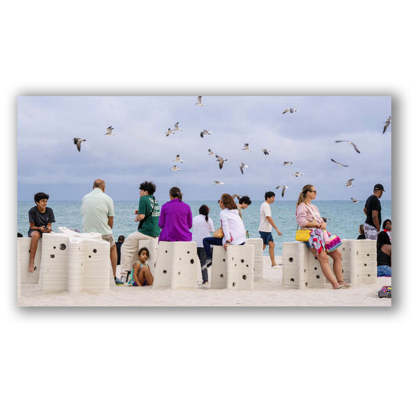 Carlos Betancourt and Alberto Latorre, Star Compass: The Miami Reef Star, Carlos Betancourt and Alberto Latorre, 2024