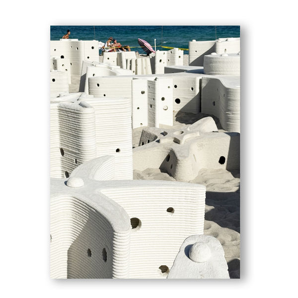 Carlos Betancourt and Alberto Latorre, Star Compass: The Miami Reef Star, Carlos Betancourt and Alberto Latorre , 2024