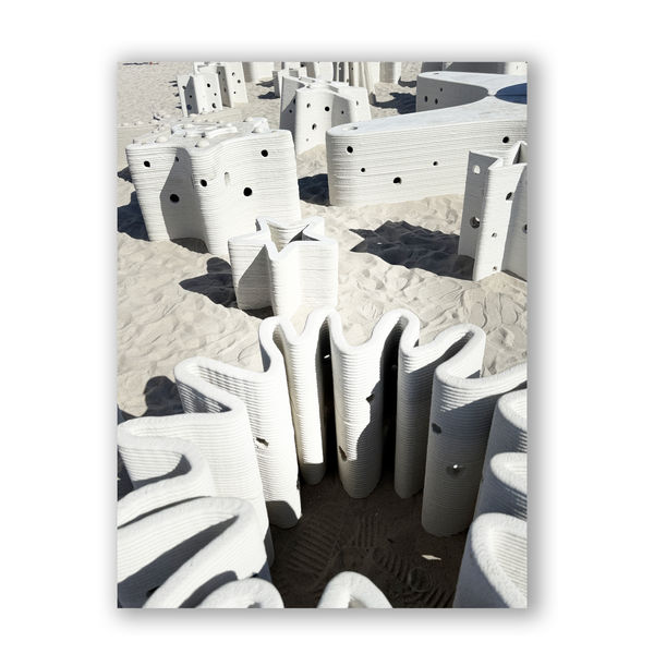 Carlos Betancourt and Alberto Latorre, Star Compass: The Miami Reef Star, Carlos Betancourt and Alberto Latorre , 2024