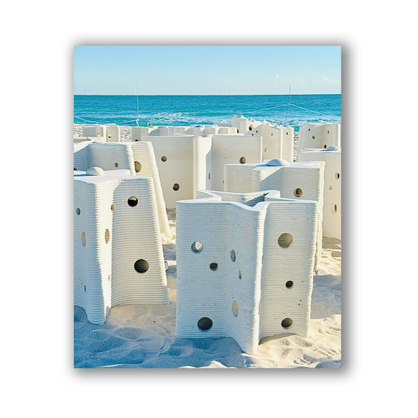 Carlos Betancourt and Alberto Latorre, Star Compass: The Miami Reef Star, Carlos Betancourt and Alberto Latorre , 2024