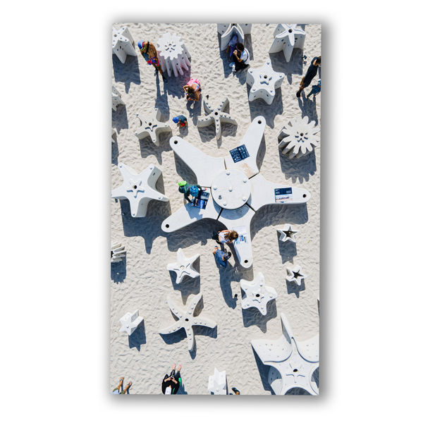 Carlos Betancourt and Alberto Latorre, Star Compass: The Miami Reef Star Carlos Betancourt and Alberto Latorre, 2024