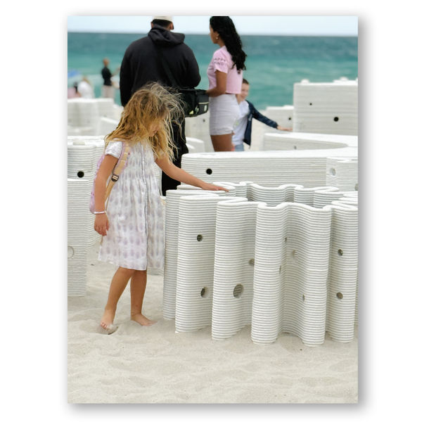 Carlos Betancourt and Alberto Latorre, Star Compass: The Miami Reef Star, (additional photos) Carlos Betancourt and Alberto Latorre, 2024