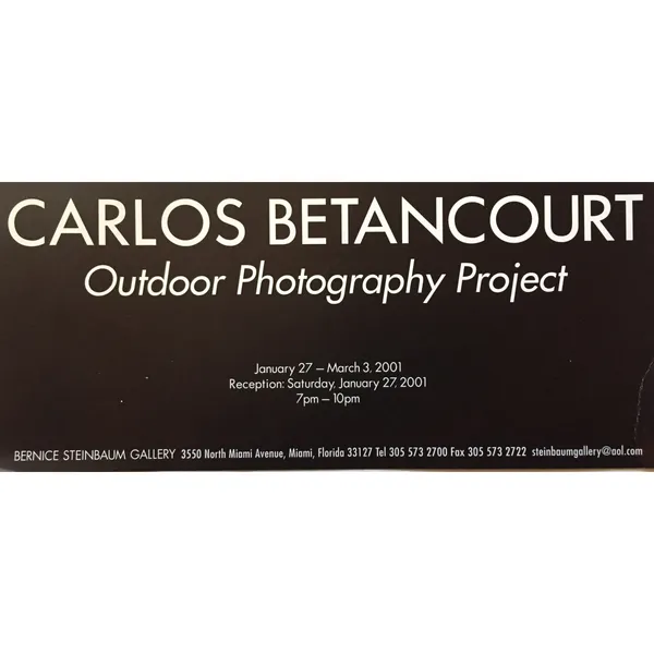 Bernice Stainbaum gallery group exhbiit