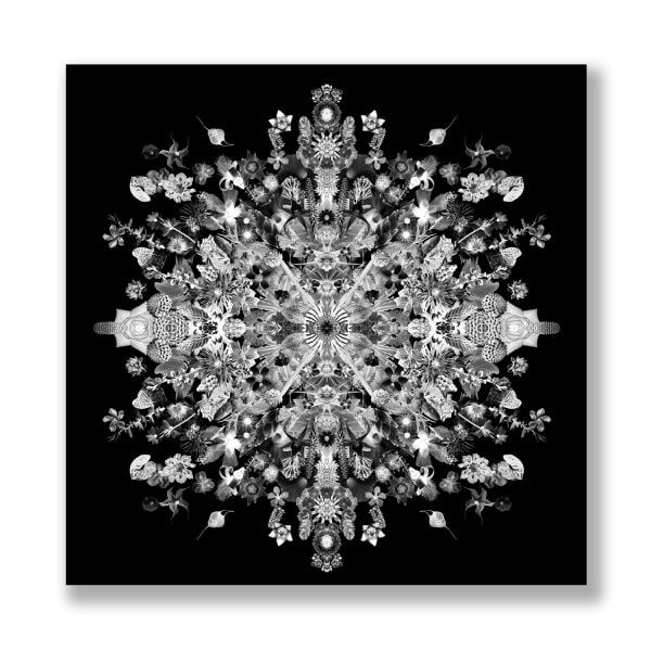 Print. Signed and Numbered. Limited Edition. $2250.00, Re-Collections X, Xray, 2010