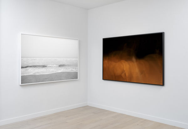 Kimberly Ovitz Install 1