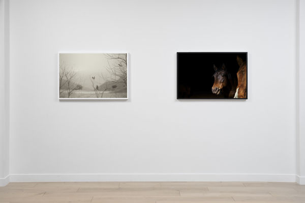 Kimberly Ovitz Install 3