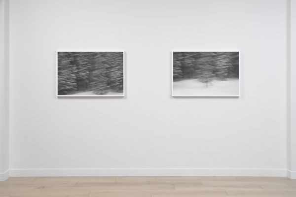 Kimberly Ovitz Install 4