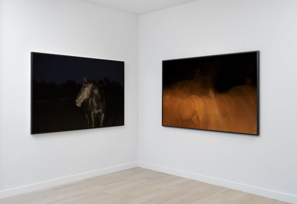 Kimberly Ovitz Install 5