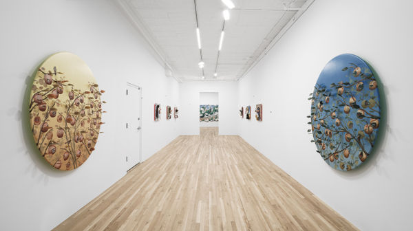 Miguel Ángel Payano Jr., Out From, 2023, installation view, Charles Moffett, New York