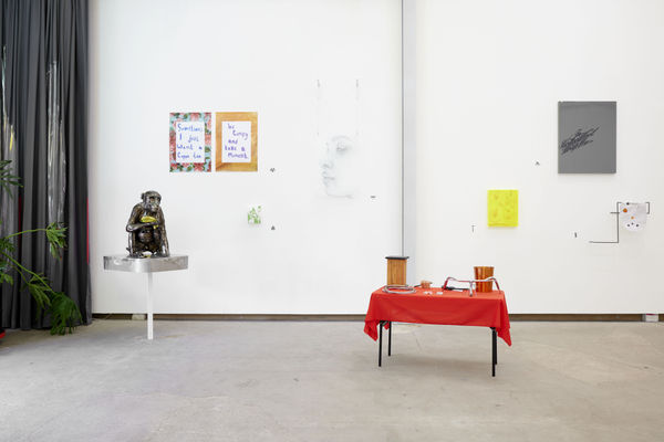 Photography by Stuart Whipps