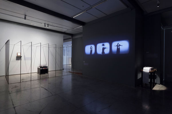 Aesthetic Bind: Phantomata, display view, 2013-2014