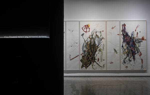 What Do Birds Dream At Dusk, Mithu Sen