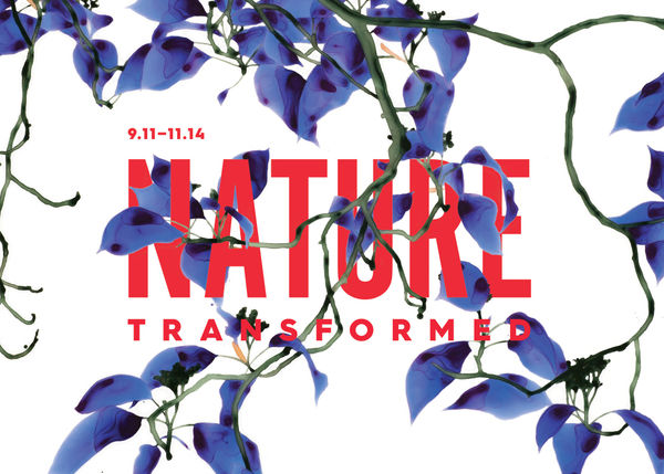 Nature Transformed
