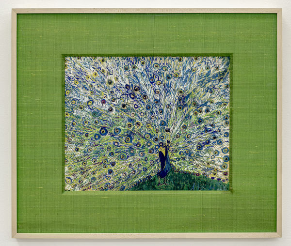 G. Molinari, Peacock with Full Tail