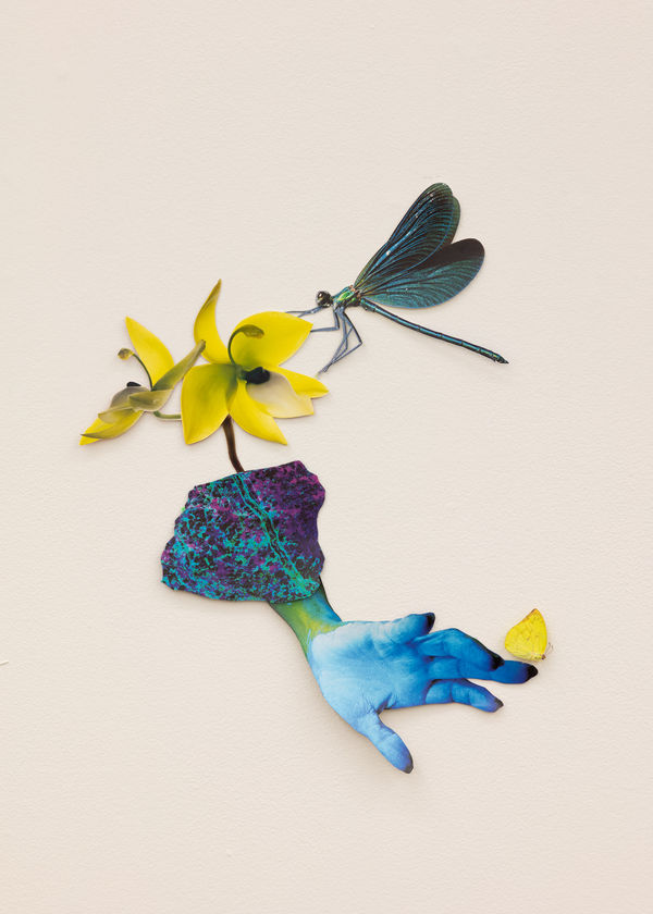 Jennifer Murphy, Overcoming the Body, 2025