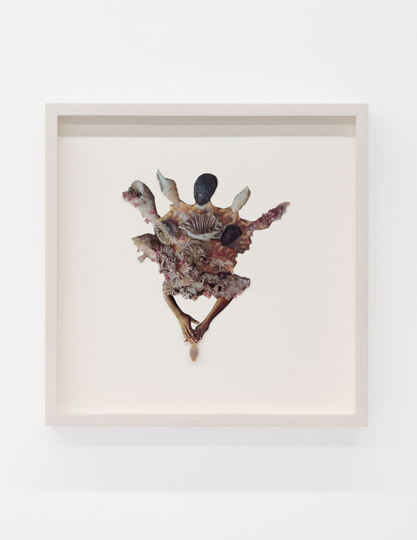 Jennifer Murphy, For Tina, 2025