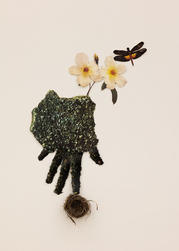 Jennifer Murphy, Longing to Create in Finer Matter, 2025