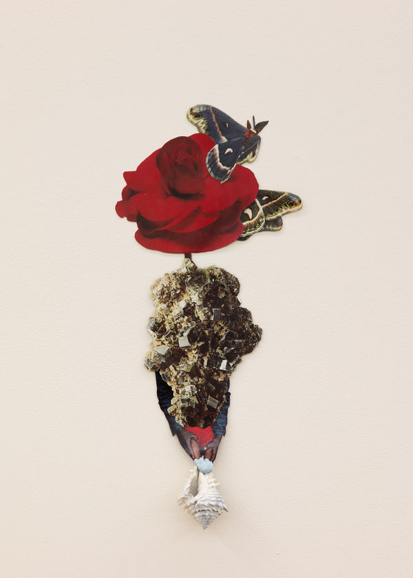 Jennifer Murphy, Renunciation of the Self for Future Generations, 2025