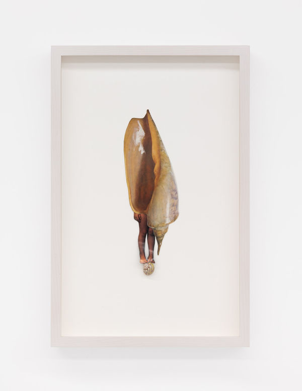 Jennifer Murphy, For Dorothea, 2025