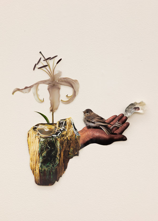 Jennifer Murphy, Entanglements, 2025