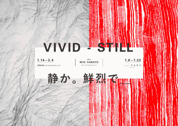 VIVID - STILL