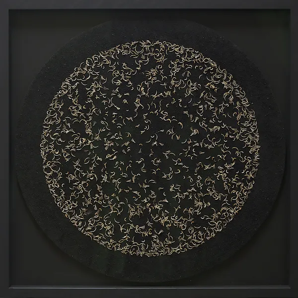 Complicity 3, 2026 Liz McGowan Rodent teeth/scapulae on chimney soot 60 x 60 x 3.5 cm