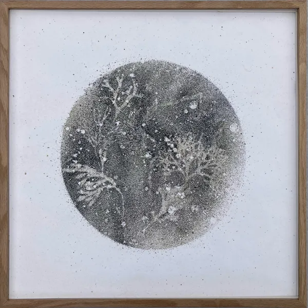 Absence: The Norfolk Chalk Reef 4