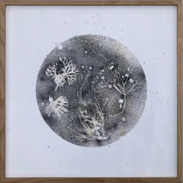 Absence: The Norfolk Chalk Reef 8