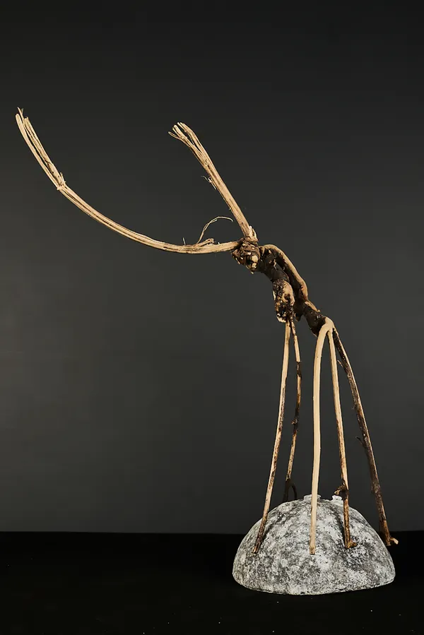 Spirit Animal, 2026 Liz McGowan Mixed media 55 x 40 x 20 cm