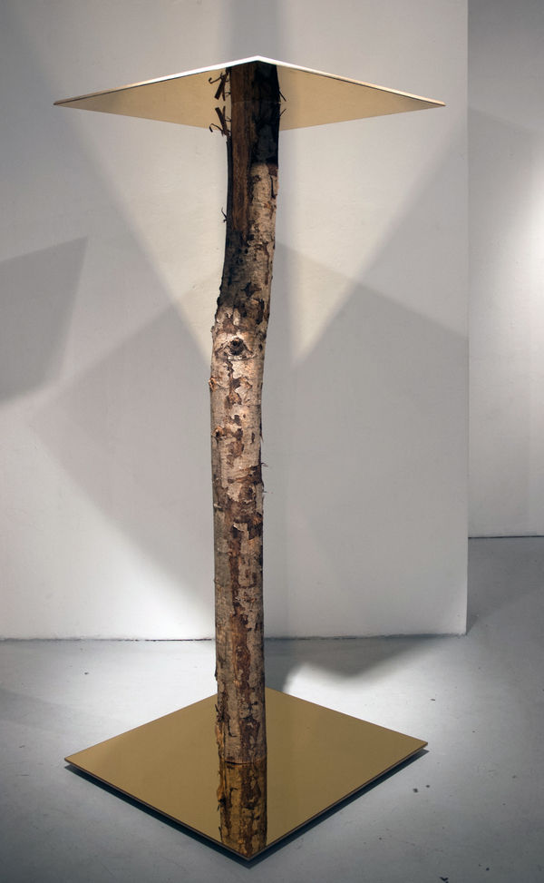 Sondra Meszaros, #17, 2016