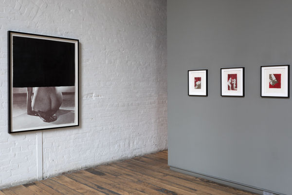 Sondra Meszaros: two blazing glares, for her pierce