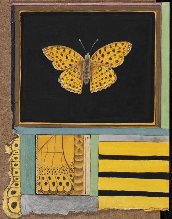 Jethro BUCK (b.1986) Fritillary, 2019