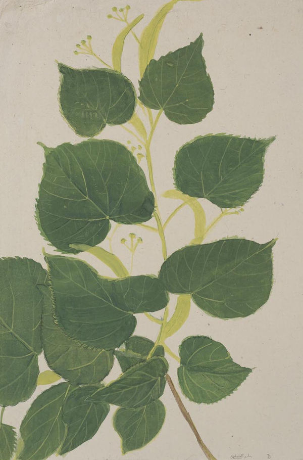 Jethro BUCK (b.1986) Summer, 2019