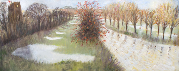 Tessa Newcomb, Hawthorn delivers , 2020