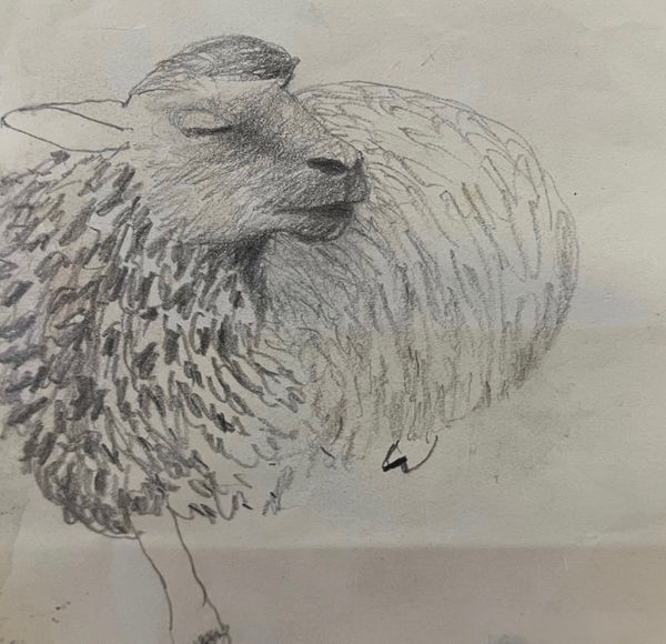 Mary Newcomb, Resting Ewe