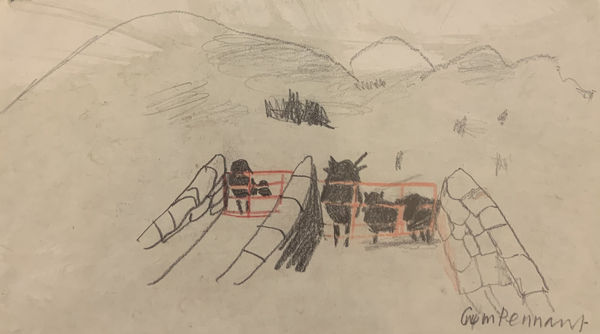 Mary Newcomb, Gwm Pennant