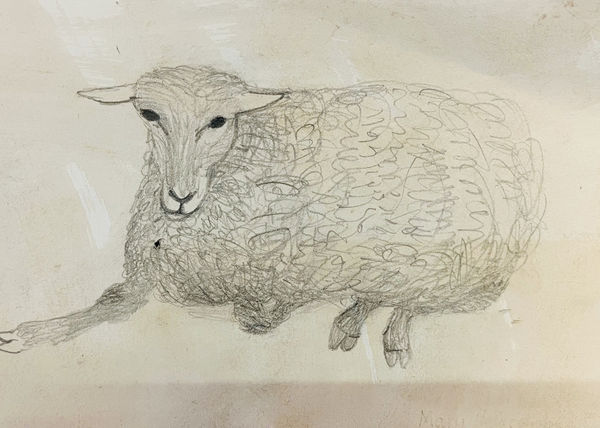 Mary Newcomb, Sheep Lying Down