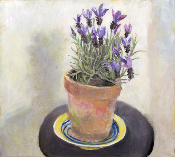Tessa Newcomb, Lavender , 2021