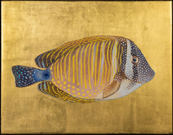 Jethro Buck, Sailfin Tang, 2021