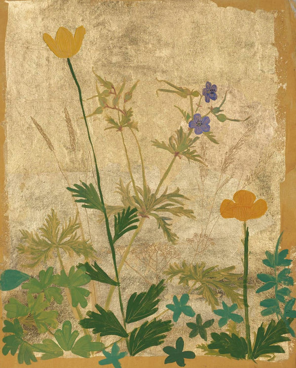 Jethro BUCK (b.1986) Poppies and Cranesbills, 2019