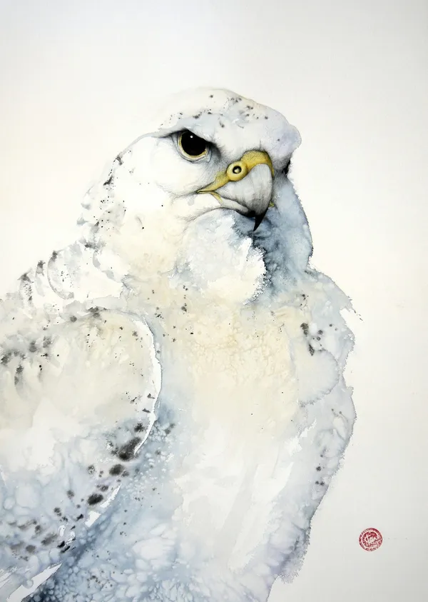 Affordable Art Fair, Seattle, 2013