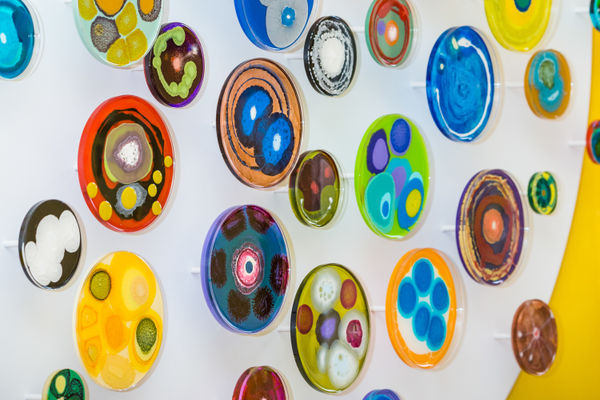 Installation view, photo credit Cristina Schek